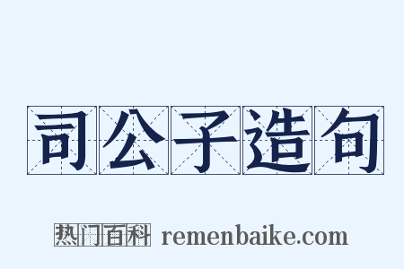 司公子造句是什么意思的图片